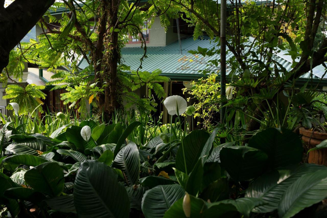 Kandy Tree Tops Exterior photo