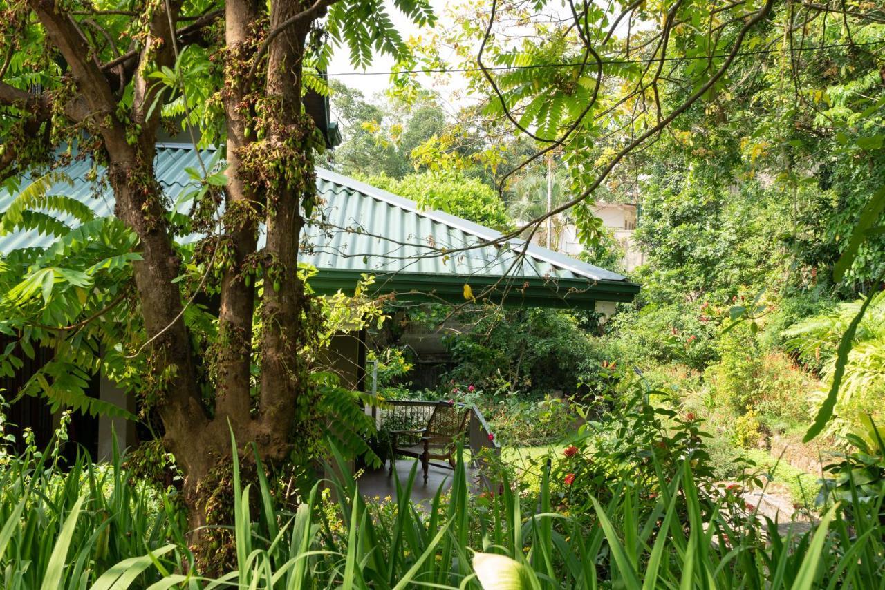 Kandy Tree Tops Exterior photo