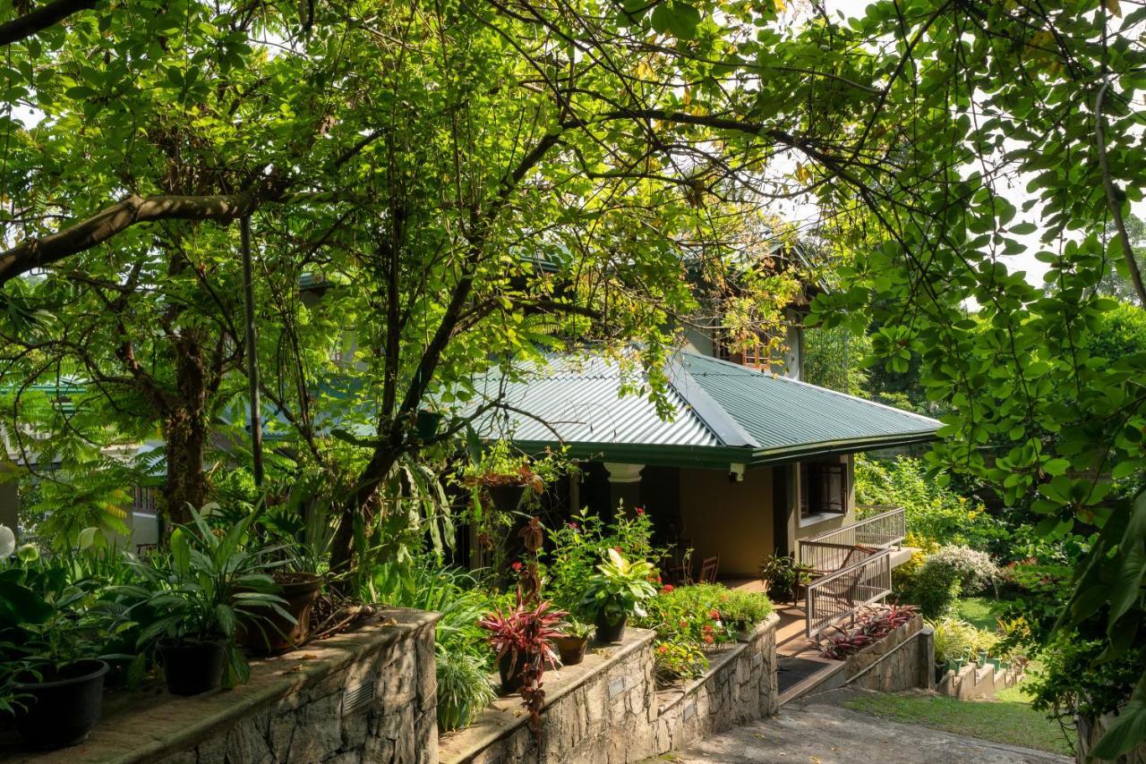 Kandy Tree Tops Exterior photo